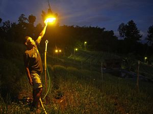Elektrifikasi Pertanian, Hama Hilang Kebun Terang
