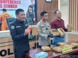 Ganja 10 Kg Hendak Dikirim ke Bali Dibongkar, Kurir Asal Jember Ditangkap
