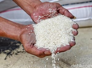 Harga Beras Medium Masih Bertengger di Level Rp 13.000/Kg Harga Beras Medium Masih Bertengger di Level Rp 13.000/Kg