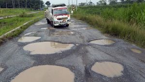Potret Jalan Rusak Menuju Kota Baru Lampung