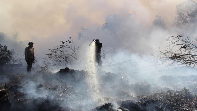 6 Lahan Sawah dan Kebun di Lebak Banten Terbakar Selama Musim Kemarau