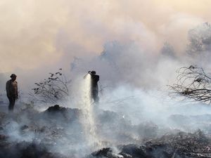 6 Lahan Sawah dan Kebun di Lebak Banten Terbakar Selama Musim Kemarau