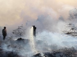 6 Lahan Sawah dan Kebun di Lebak Banten Terbakar Selama Musim Kemarau
