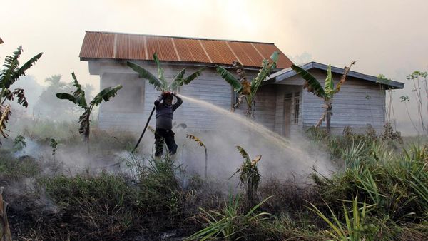 Potret Perjuangan Memadamkan Kebakaran Lahan di Dumai