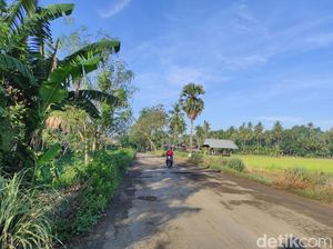 Pemkab Bone Butuh Anggaran Rp 2,8 Triliun Perbaiki Jalan Rusak 629 Km