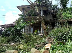 Sosok Dokter Wayan yang Viral di Mata Warga