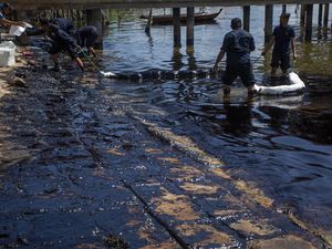 Limbah Minyak Berwarna Hitam dan Bau Cemari Pantai di Batam