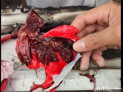 Dua Balon Udara Nyangkut di Masjid Ar Rahman Kota Blitar Dalam Sepekan