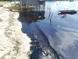 Pantai di Batam Tercemar Limbah Minyak Hitam Pekat!