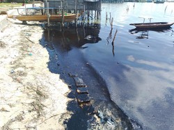 Pantai di Batam Tercemar Limbah Minyak Hitam Pekat!