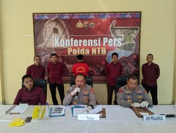 Pelaku Penyelundupan Benih Lobster Asal Bali Dapat Upah Rp 100 Ribu