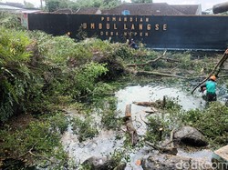 Pohon Munggur Seratusan Tahun di Umbul Langse Boyolali Tumbang