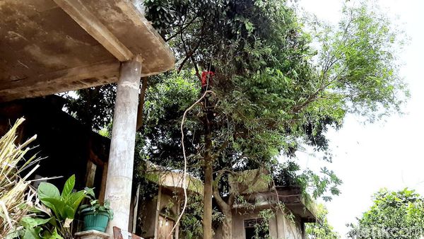 Rumah Dokter Wayan yang Viral di Karawang