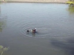 Hilang Semalaman, ABG Ditemukan Tewas di Dasar Muara Jembrana