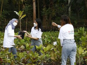 Program CSR BNI Dinilai Beri Dampak Positif bagi Sosial & Lingkungan