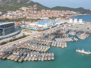 China Umumkan Larangan Penangkapan Ikan Musim Panas Tahunan