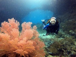 Rahasia Nadine Candrawinata Agar Kulit Tidak Kusam karena Hobi Menyelam