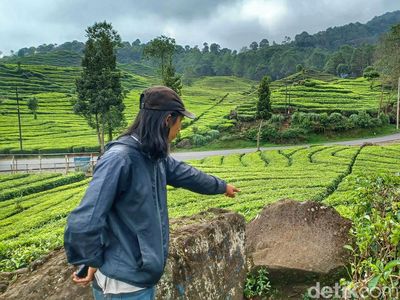Kebun Teh Ciwidey yang Tenang Dibikin Gempar oleh Wanita Bercadar Pamer Kelamin