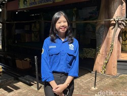 Pergulatan Lulu dengan Aneka Satwa di Kebun Binatang Bandung