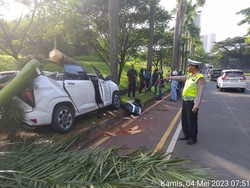 Mobil Ringsek Usai Tabrak Pohon hingga Roboh di Cikarang, Sopir Terluka