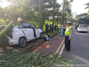 Mobil Ringsek Usai Tabrak Pohon hingga Roboh di Cikarang, Sopir Terluka Mobil Ringsek Usai Tabrak Pohon hingga Roboh di Cikarang, Sopir Terluka