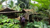 Serangan Ajag Hantui Peternak di Sumedang