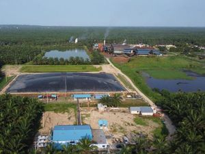 Pembangkit Biogas Riau Resmi Beroperasi, Ubah Limbah Sawit Jadi EBT Pembangkit Biogas Riau Resmi Beroperasi, Ubah Limbah Sawit Jadi EBT