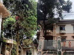 5 Kesamaan Viral Dokter Wayan dan Bu Eny di Rumah Mewah Terbengkalai