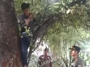 Nekat! PMKS di Jaksel Nangkring di Pohon gegara Takut Dijaring Satpol PP