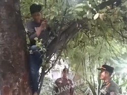 Nekat! PMKS di Jaksel Nangkring di Pohon gegara Takut Dijaring Satpol PP