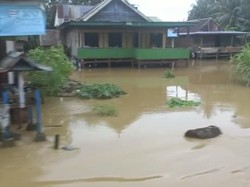 Banjir Rendam 100 Rumah di Bone, Warga Memilih Tidak Mengungsi