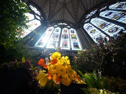 Bunga Khusus yang Disiapkan untuk Penobatan Raja Charles