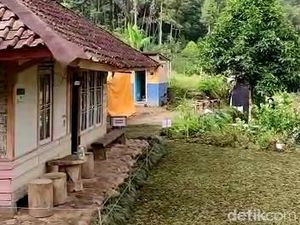 Rumah Surga Abah Jajang Rp 2,5 M Menghijau Kembali, dan Dipagari Rumah Surga Abah Jajang Rp 2,5 M Menghijau Kembali, dan Dipagari