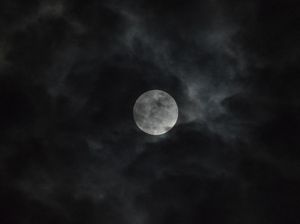 Waktu Menyaksikan Gerhana Bulan Total dari Jatim Malam Ini Waktu Menyaksikan Gerhana Bulan Total dari Jatim Malam Ini