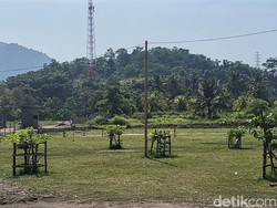 Kisah Kades di Banten Sulap Pantai Gersang Jadi Rindang