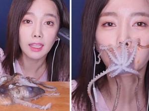 Makan Gurita Hidup Sedang Tren, Apakah Halal Dikonsumsi Muslim?