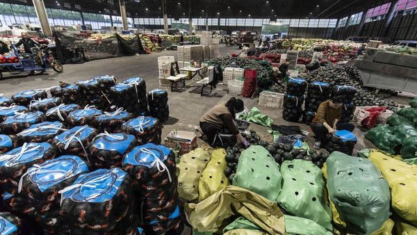 Mengintip Pasar Induk Sayuran di China, Wah Gede Banget!