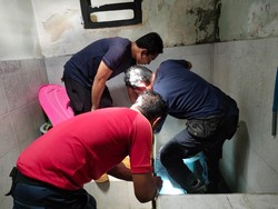 Biawak Masuk Toilet, Ibu-Anak Ngibrit