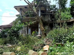 Viral Rumah Dokter Wayan hingga Heboh Video Syur Wanita Bercadar