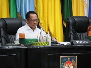 Ini Imbauan Mendagri untuk Tekan Harga Jagung dan Telur yang Meroket Ini Imbauan Mendagri untuk Tekan Harga Jagung dan Telur yang Meroket