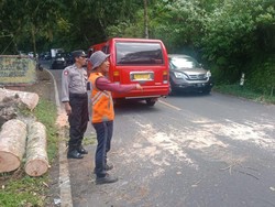 Pohon Tumbang Melintang di Jalan, Lalu Lintas di Desa Pancasari Tersendat