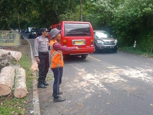 Pohon Tumbang Melintang di Jalan, Lalu Lintas di Desa Pancasari Tersendat Pohon Tumbang Melintang di Jalan, Lalu Lintas di Desa Pancasari Tersendat