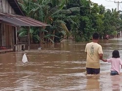 7 Kecamatan-2 Kabupaten di Sumbar Dilanda Banjir