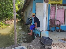 Warga Dusun Terpencil di Sidoarjo Dihantui Potensi Banjir Rob