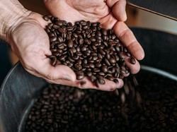 Pasar Kopi Indonesia di Belanda Terbuka Lebar, Potensinya Besar