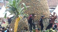Wow! Ada Festival Nanas di Kediri