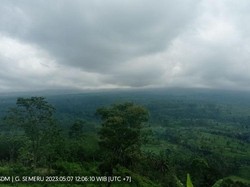 Gunung Semeru Erupsi, Keluarkan Asap Setinggi 600 Meter
