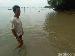 Kisah Pelaku Wisata Dikomplain soal Air Pantai Alano Karimunjawa Bikin Gatal Kisah Pelaku Wisata Dikomplain soal Air Pantai Alano Karimunjawa Bikin Gatal
