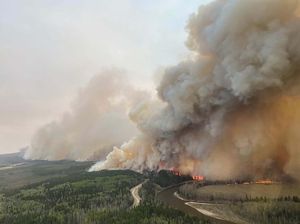 Bantu Padamkan Kebakaran Hutan, Ratusan Damkar Afsel Terbang Ke Kanada