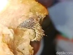 Polisi Periksa 2 Orang terkait Siomay Isi Kulit Tikus di Morowali Sulteng